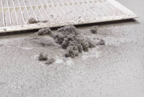 Best Emergency Air Duct Cleaning  in Cana, VA