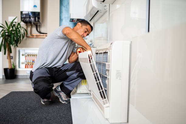 Air Duct Mold Removal in Cana, VA