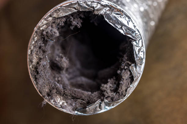 Best Commercial Air Duct Cleaning  in Cana, VA